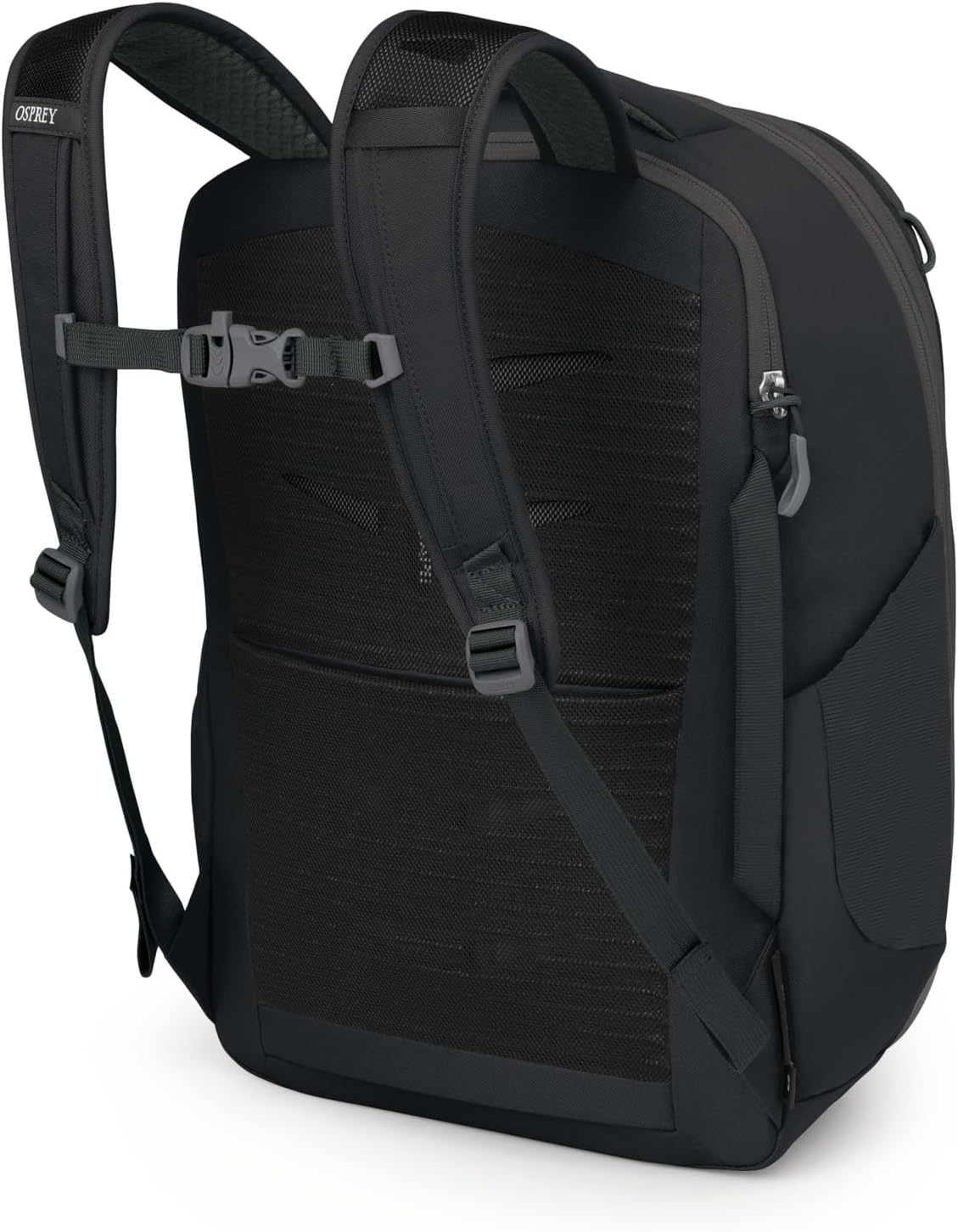 Osprey - Image 8